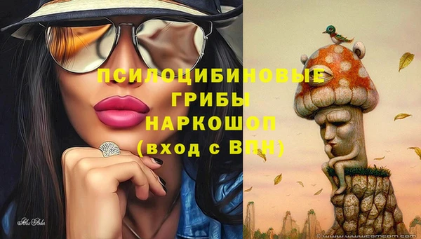 спиды Беломорск