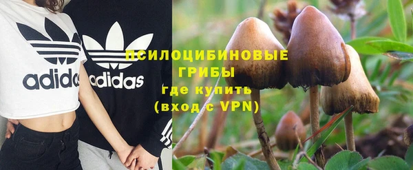 прущая мука Белокуриха