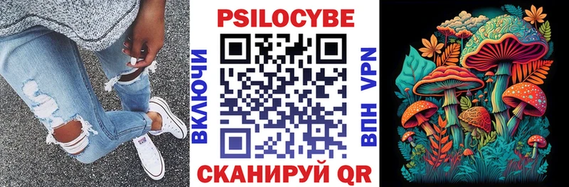 ОМГ ОМГ как войти  Венёв  Псилоцибиновые грибы Psilocybe 